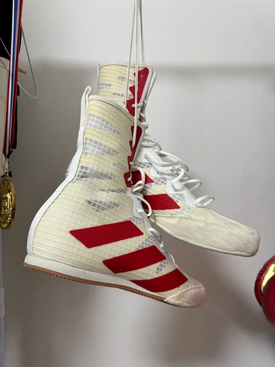 アディダス ボクサー ソホ 4