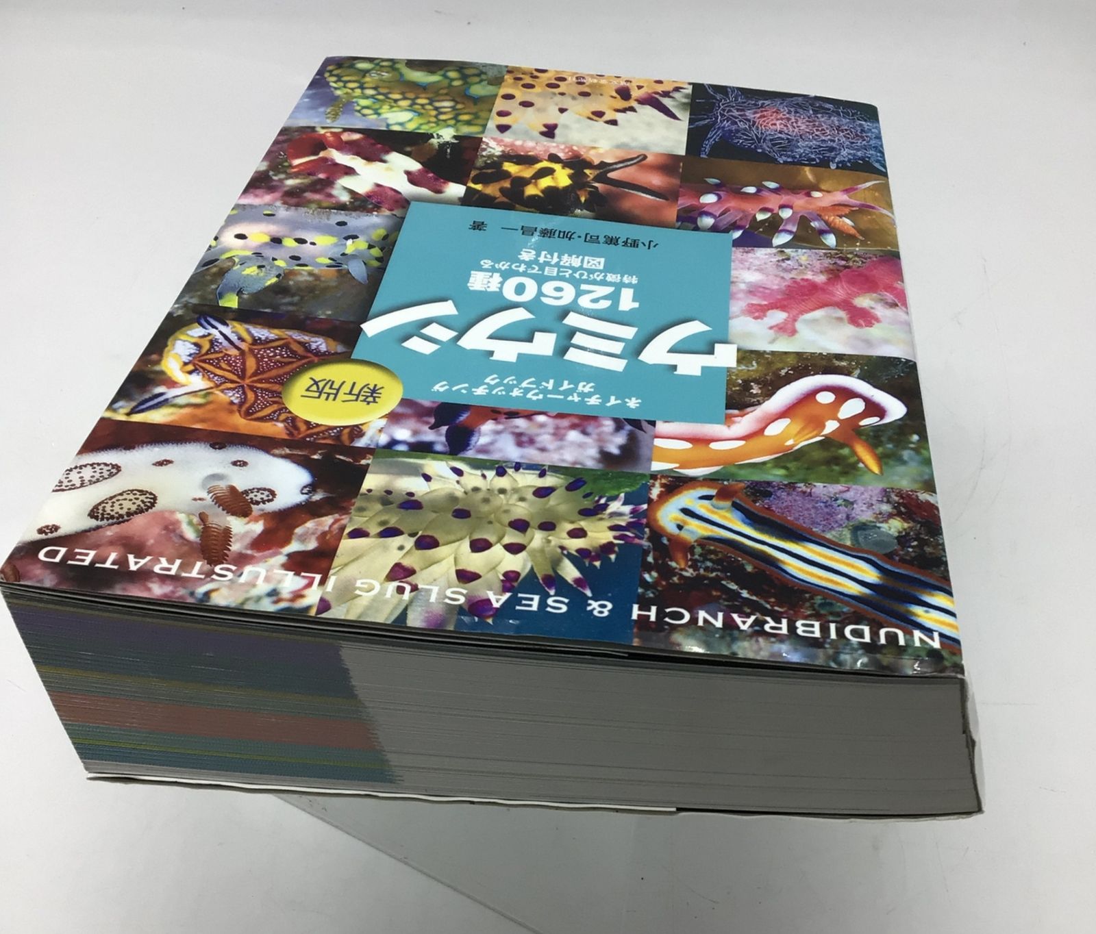 12166 ウミウシ 1260種 ネイチャーウォッチングガイドブック 特徴が