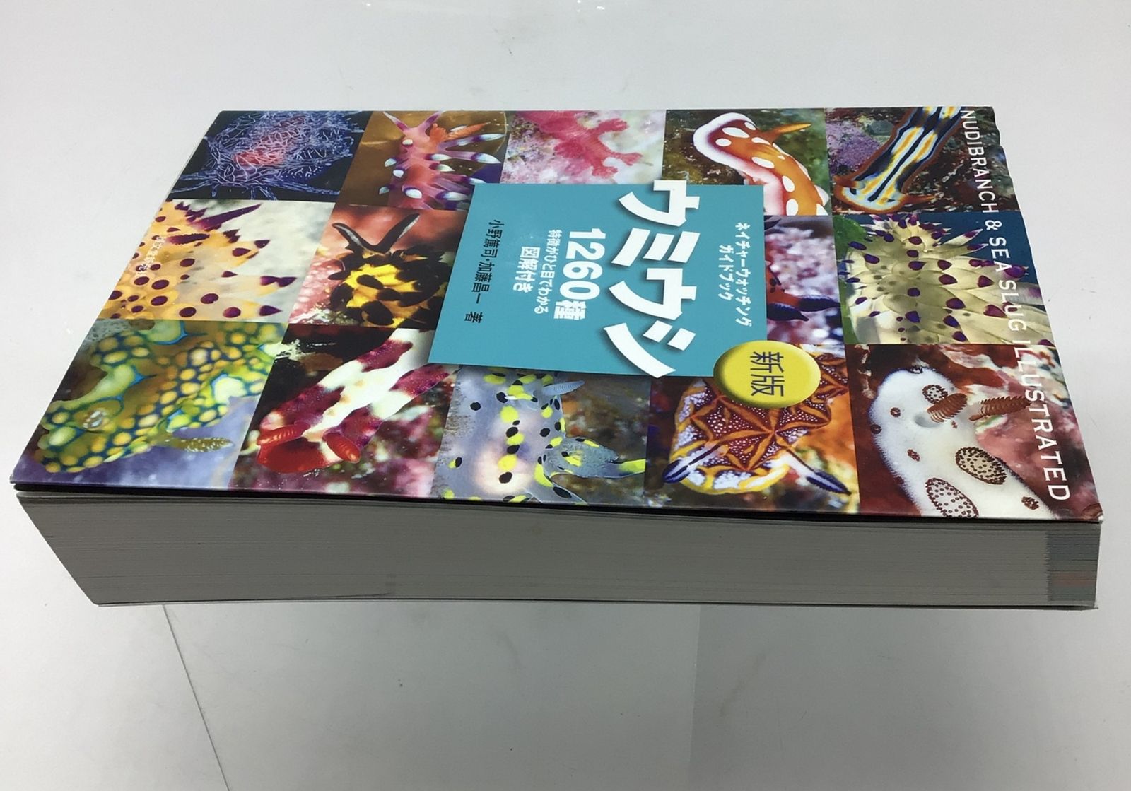 12166 ウミウシ 1260種 ネイチャーウォッチングガイドブック 特徴が