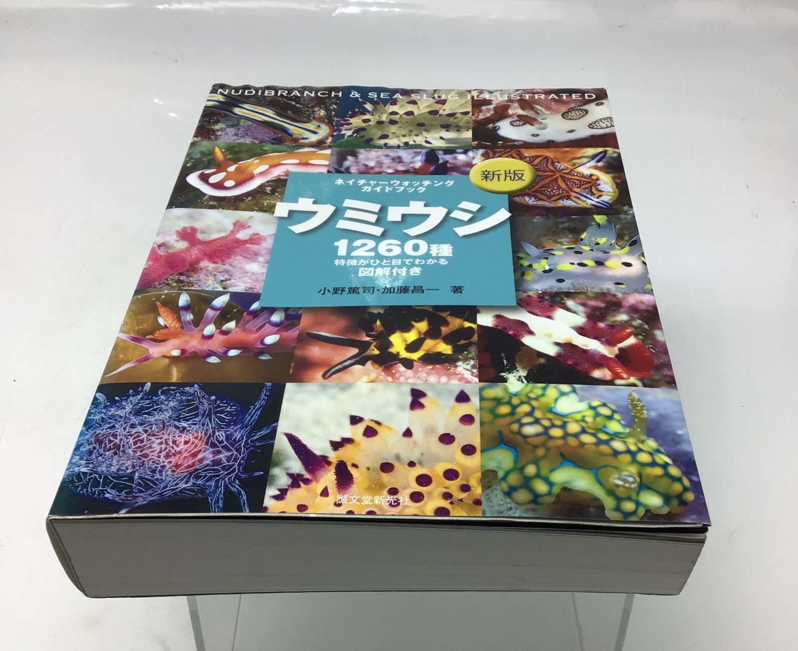 12166 ウミウシ 1260種 ネイチャーウォッチングガイドブック 特徴が