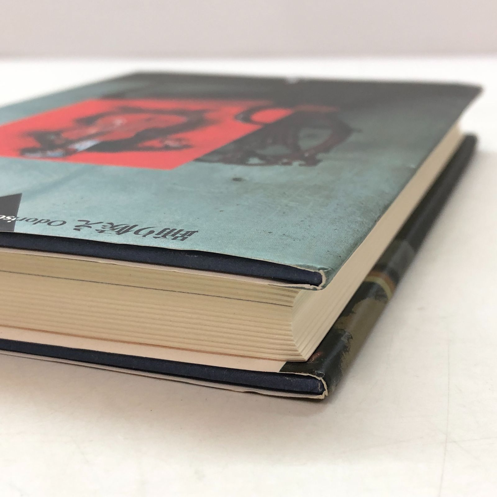 N][A] 踊り候え 鴨居 玲 購入 踊り候え 鴨居玲 新装復刻版 鴨居玲展