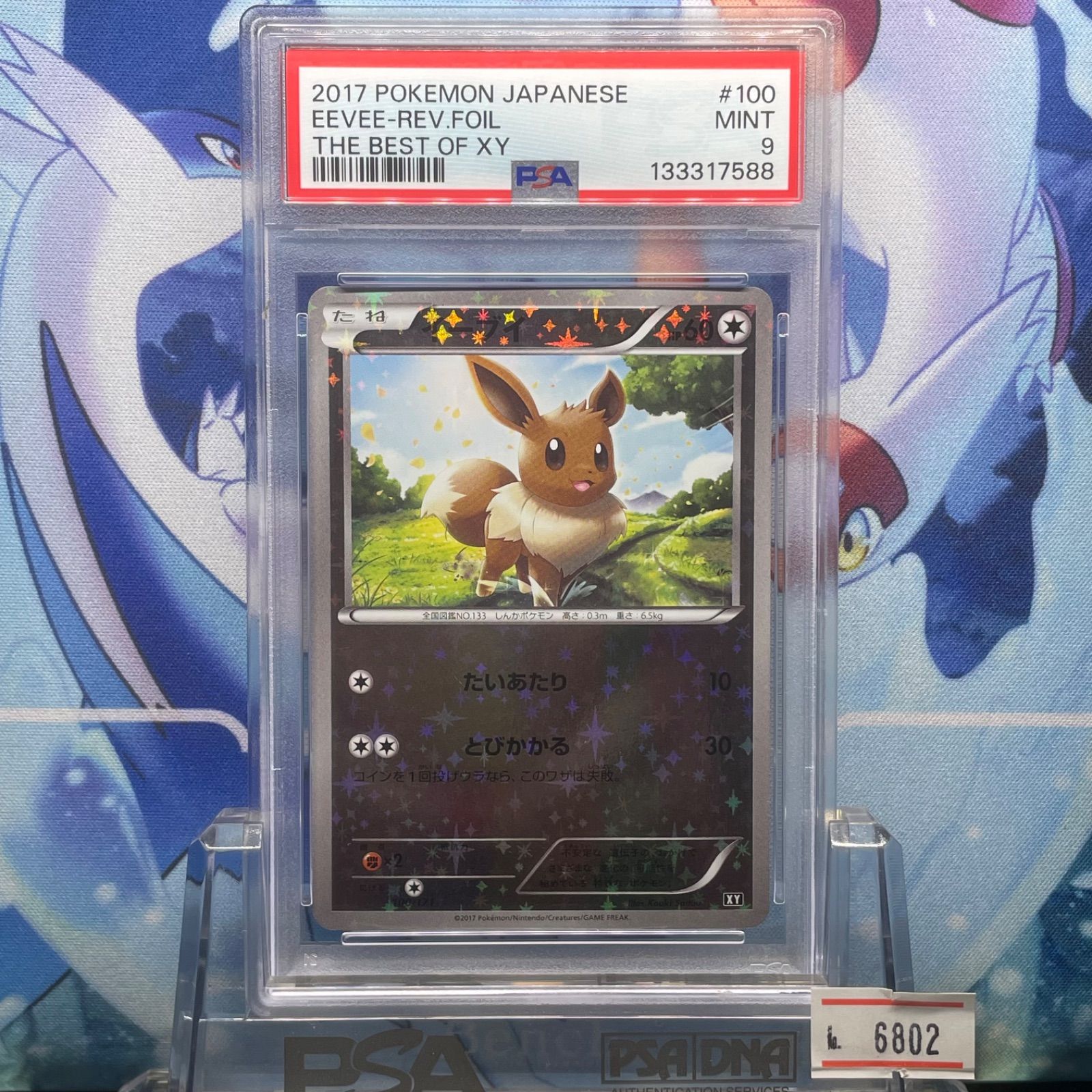 [PSA10]イーブイ:ミラー(CP)〈100/171〉[XY/171-M] イーブイ:ミラー(CP){無}〈100/171〉[XY/171-M] – 晴れる屋2 イーブイ XY