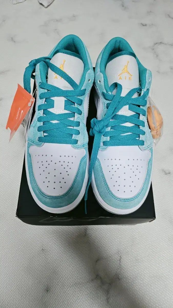 NIKE ジョーダン1 ロー SE エメラルド モデル HOME 260