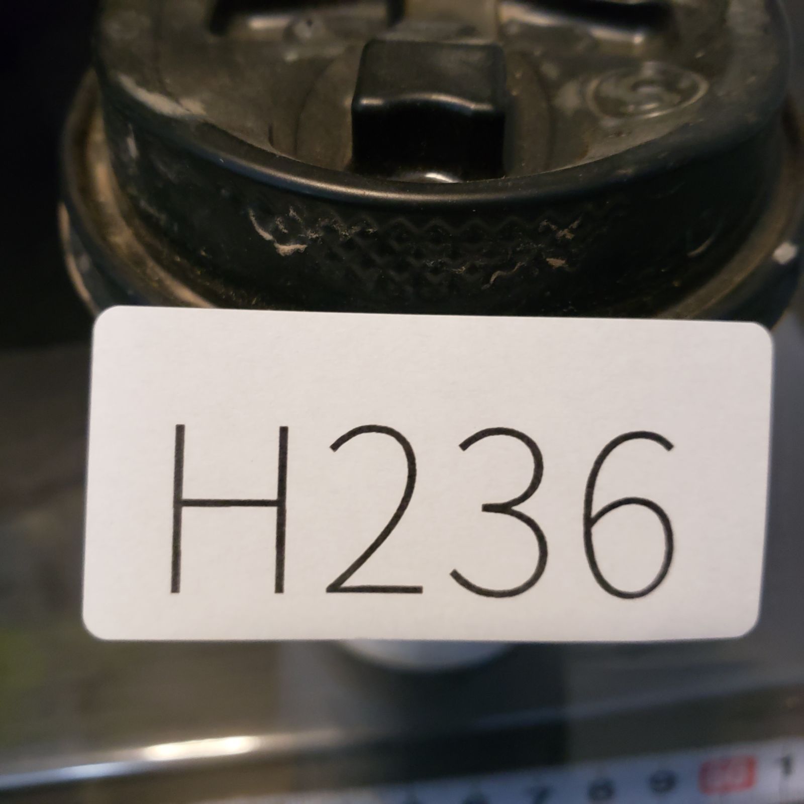 H236【自社養生株】アデニア フルチコーサ（現地球・発根株・鉢植え