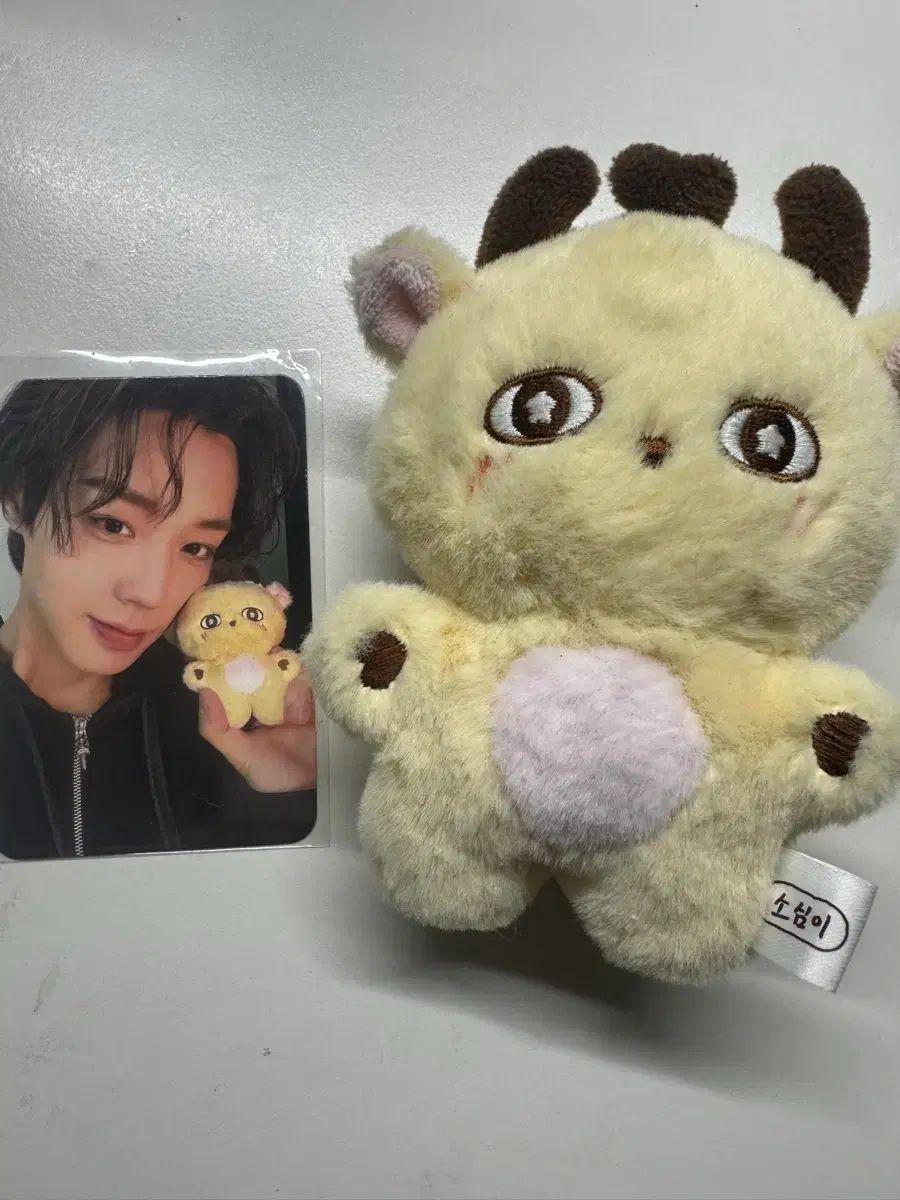 パク・ジフン(PARK JIHOON) ソシミ ぬいぐるみ トレカ - メルカリ