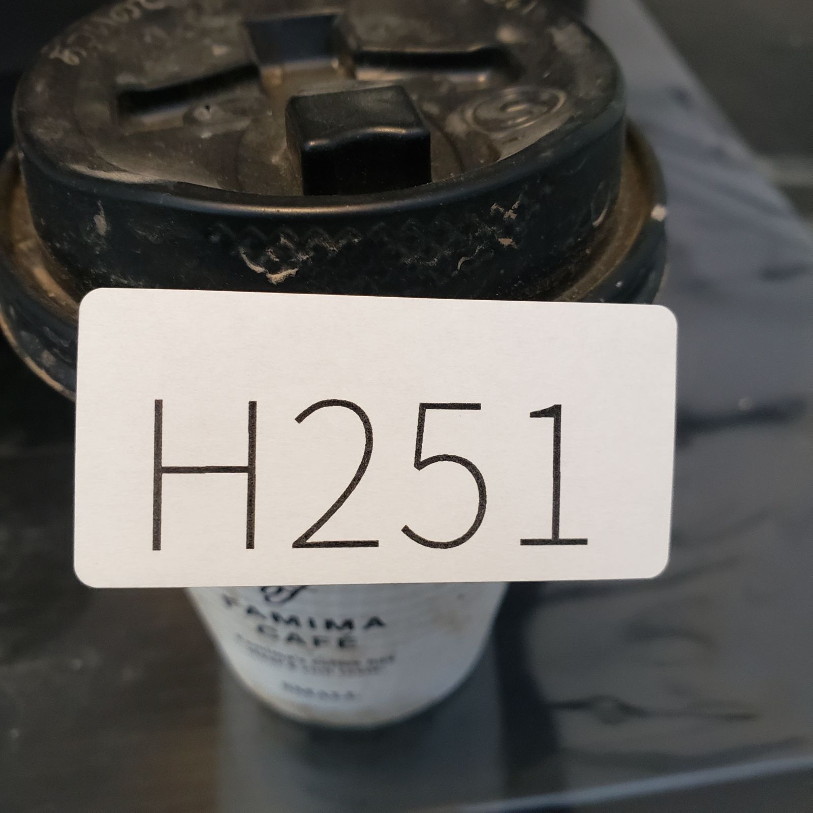 H251【自社養生株】イポメア ボルジアーナ（現地球・発根株・鉢植え