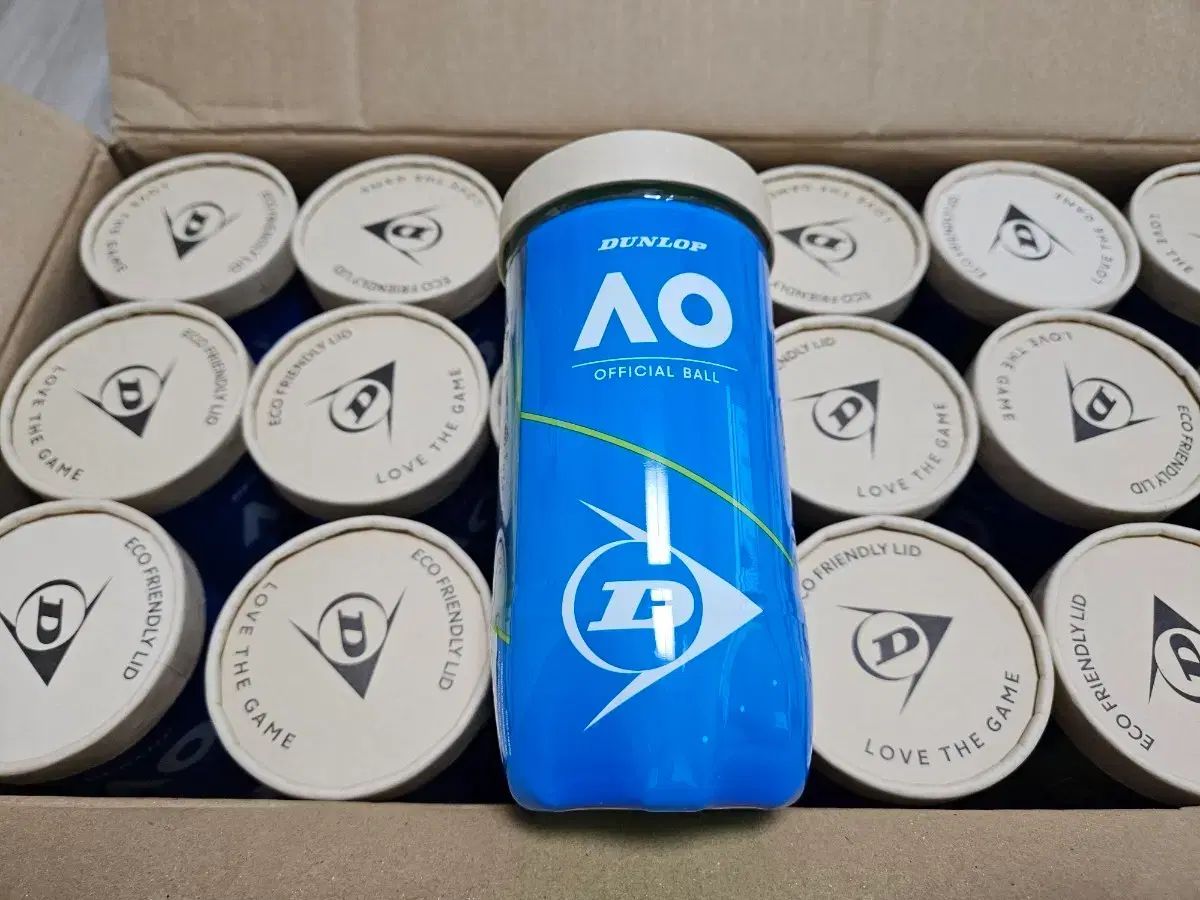 DUNLOP オーストラリアオープン AO テニスボール 1ボックス 36カン