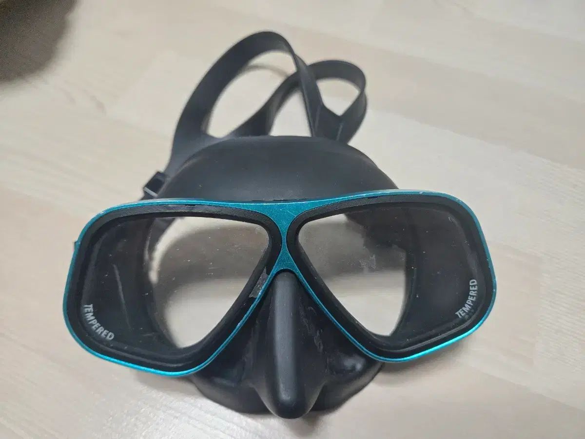 アポロ 2 裏地 ダイビング マスク 販売