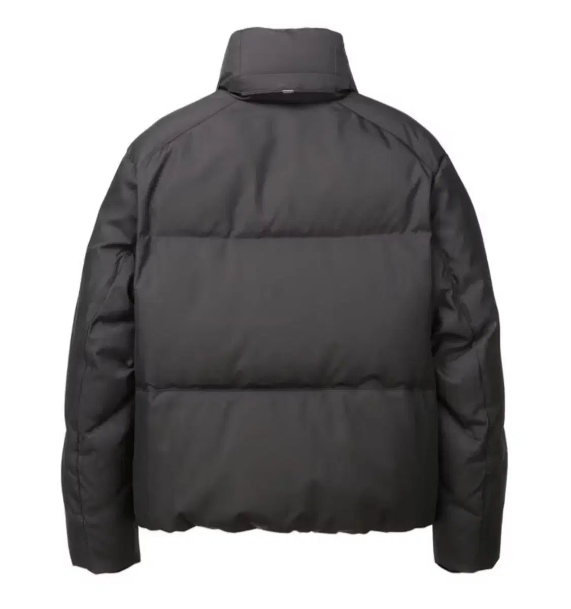 JILLSTUART NEWYORK（ジルスチュアートニューヨーク） (新品) MAJOCCHI