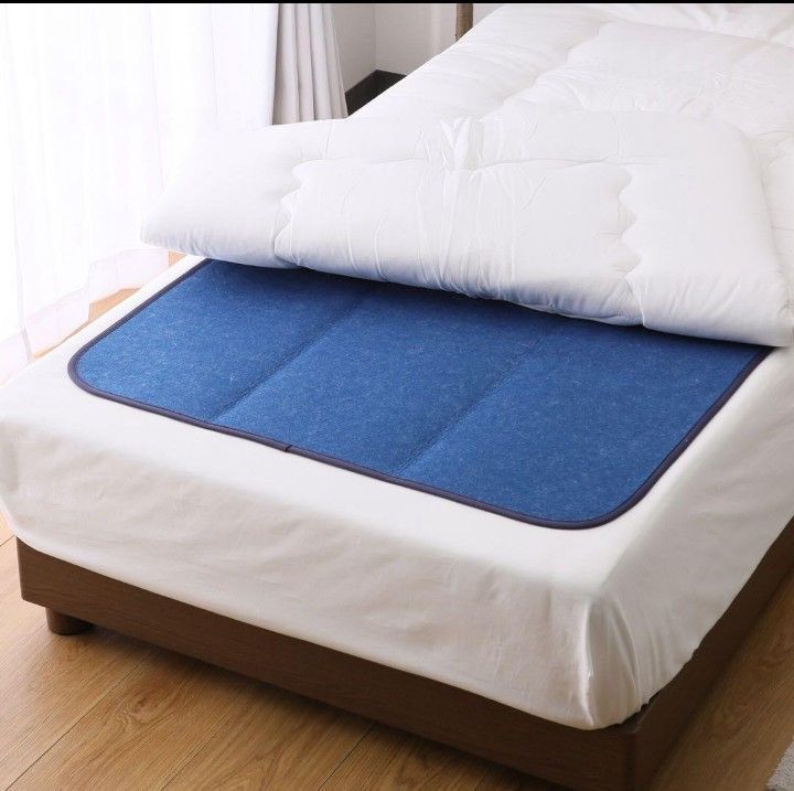 西川 湿気をぐんぐん吸収！ 繰り返し使える 消臭・防ダニ除湿シート