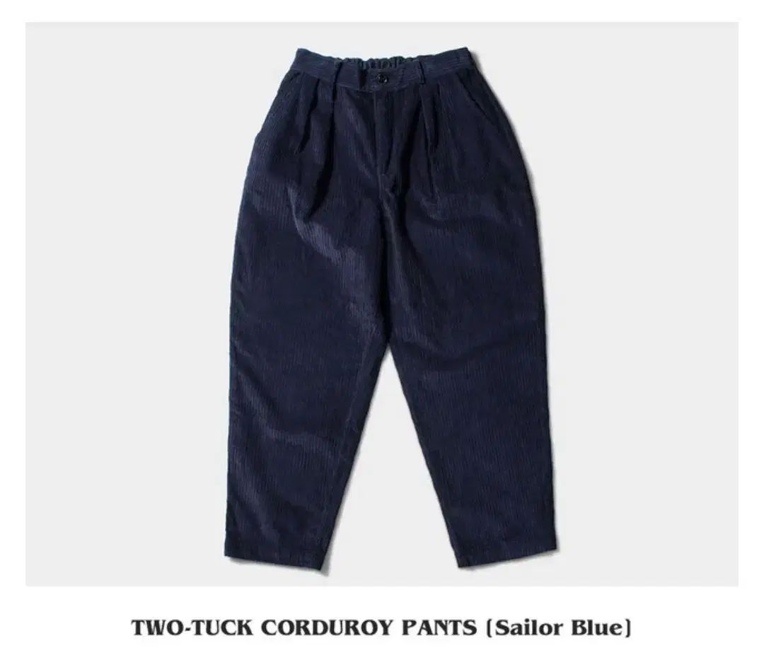 TWO TUCK CORDUROY PANTS M VDR
