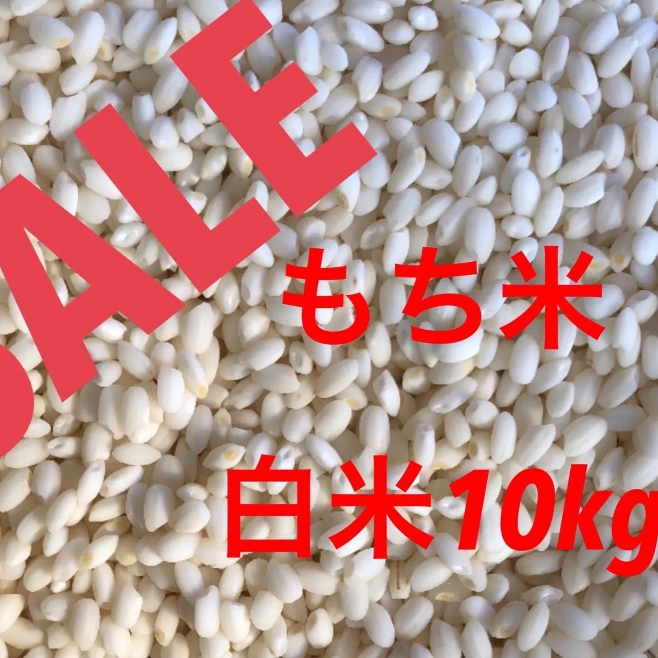 もち米（マンゲツモチ）　白米10kg マンゲツモチ 白米 10kg もち米 【公式通販】