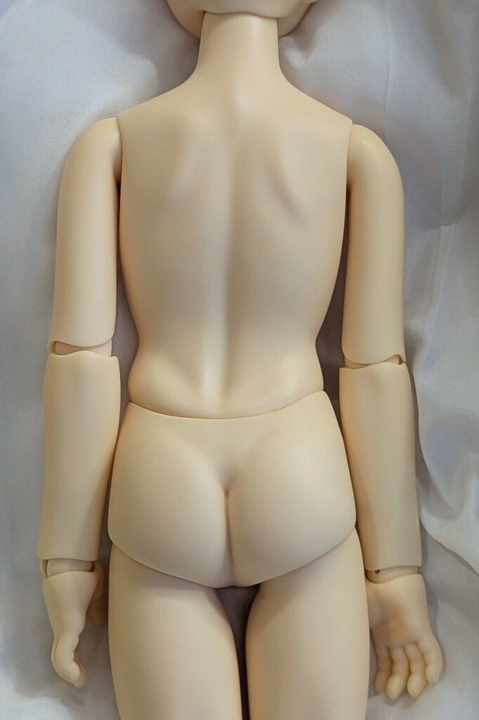 コーディネートモデル F