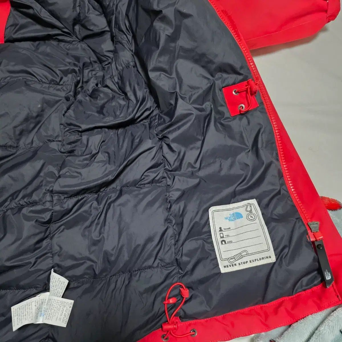 FACE ザノースフェイス