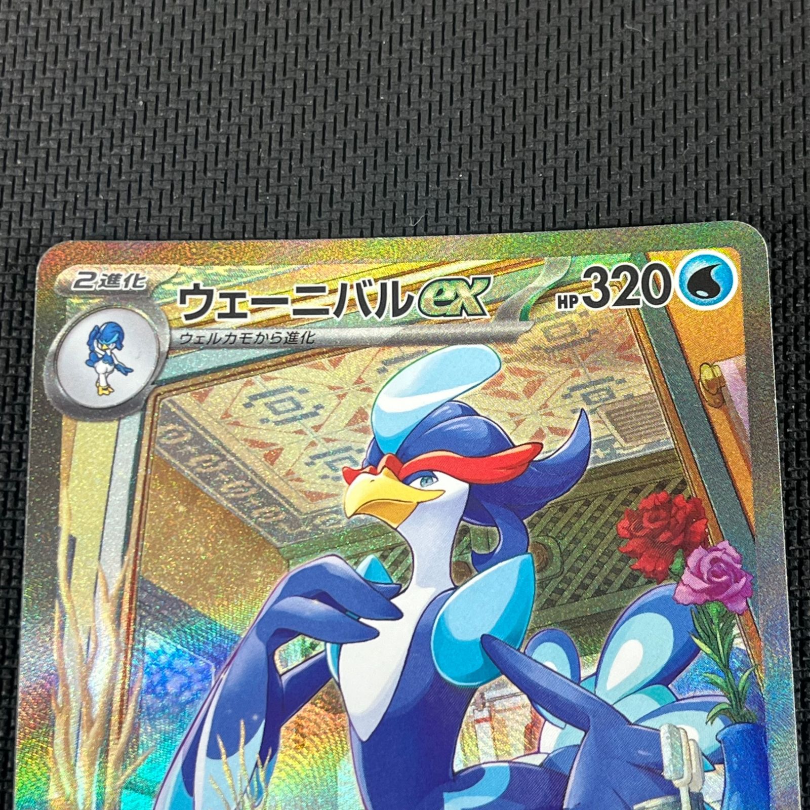 ポケカ ウェーニバルex 【 PSA10 】 ポケモンカード ポケカ