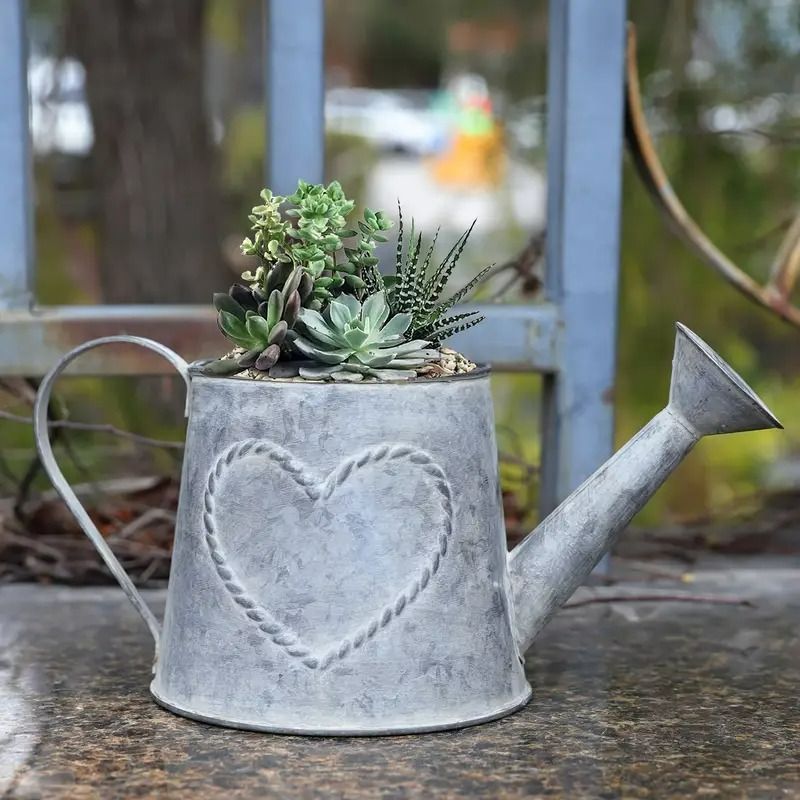 多肉 ハート型プランター 多肉植物寄せ植え✨メッシュプランターハート❤️😂 | CAINZ DIY Square