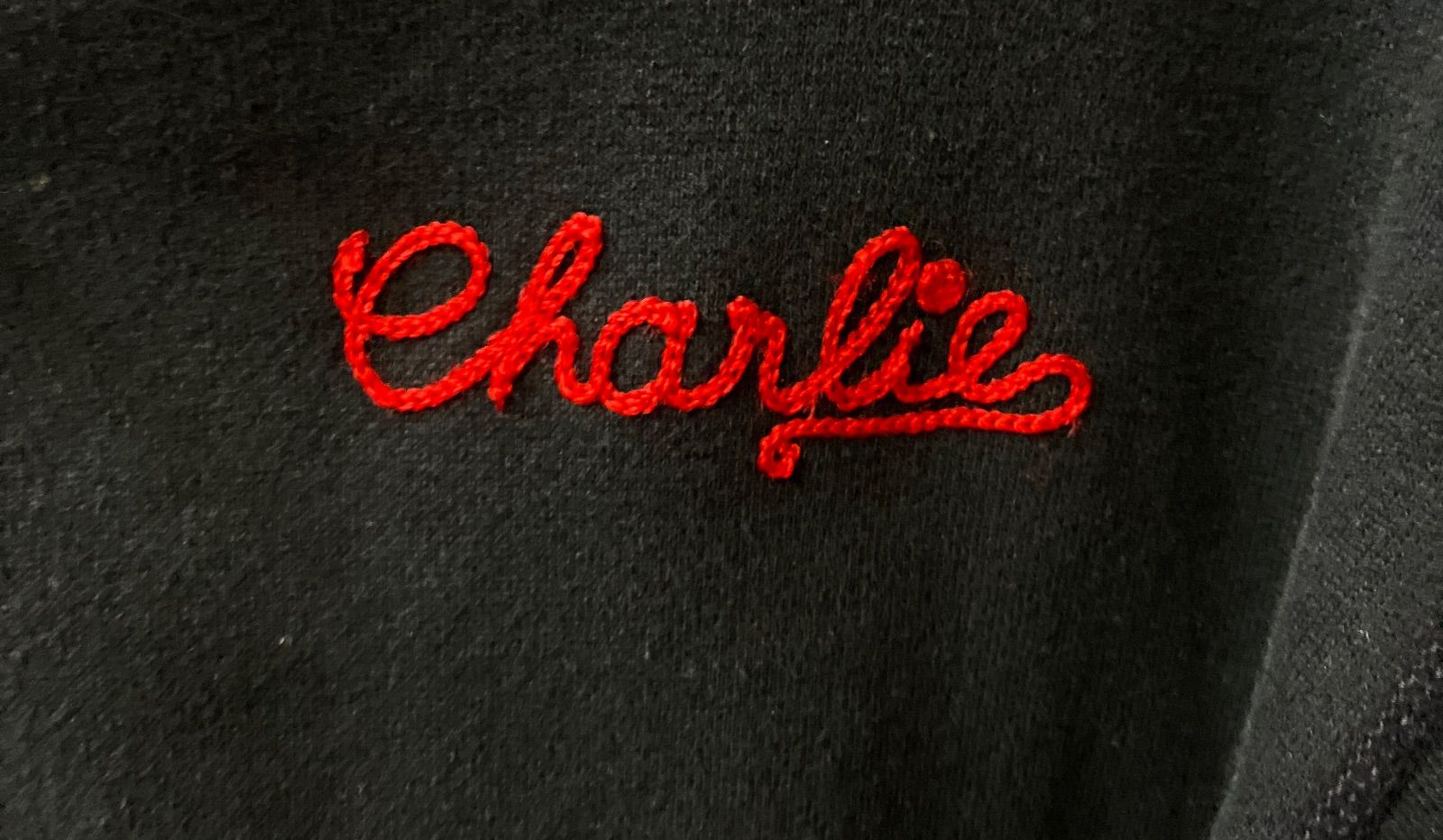 必見！】Cheswick／チェスウィック スウェット 刺繍 スタジャン M 