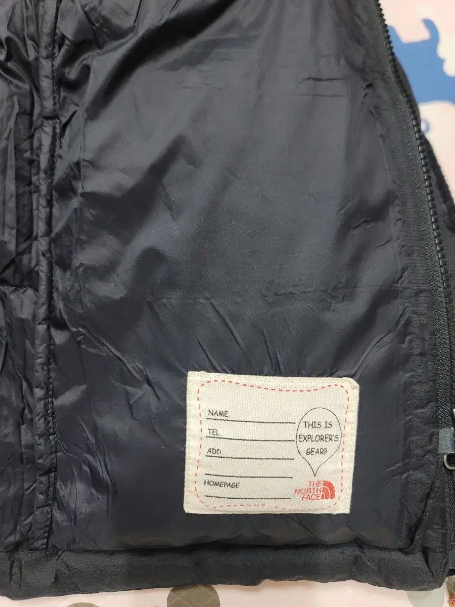 ザノースフェイス ダウン