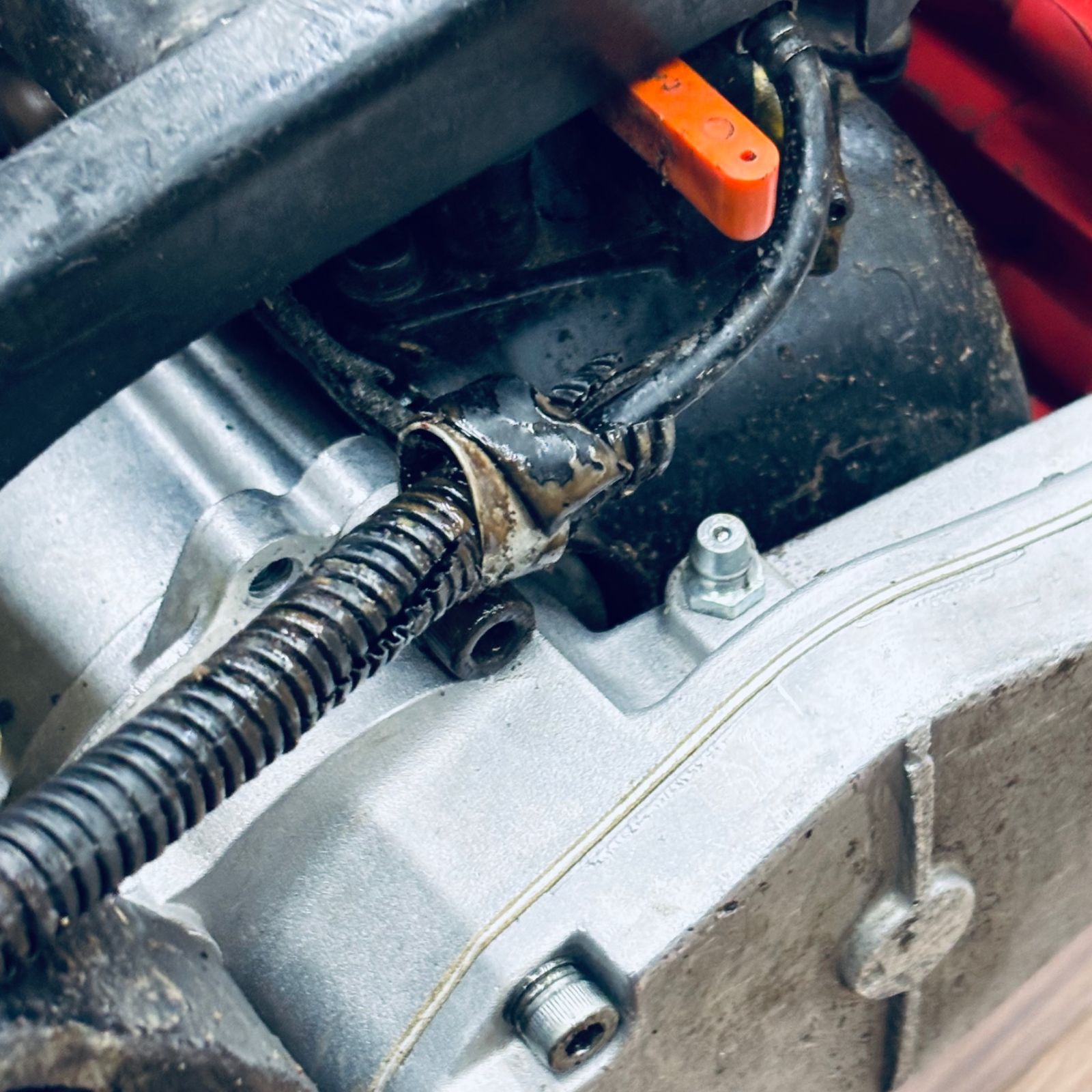 エンジンヘッジトリマ