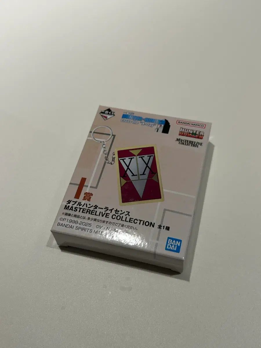 HUNTER i賞 HUNTERライセンス