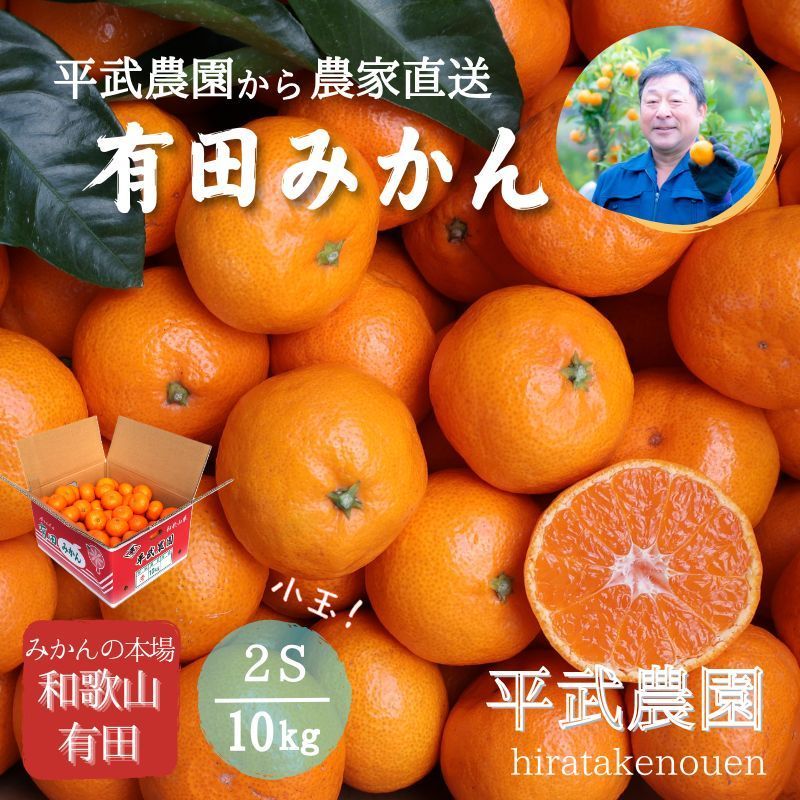 有田みかん　純宝丸　早生みかん10㎏入り2ケース 農家直送！有田みかん 2S（小玉）10kg【平武農園】和歌山｜有田｜田口