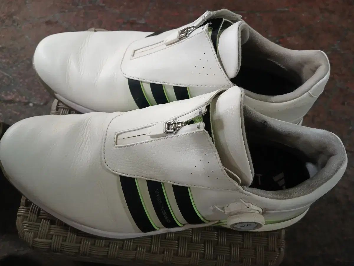 アディダス ゴルフシューズ ホワイト 265 270
