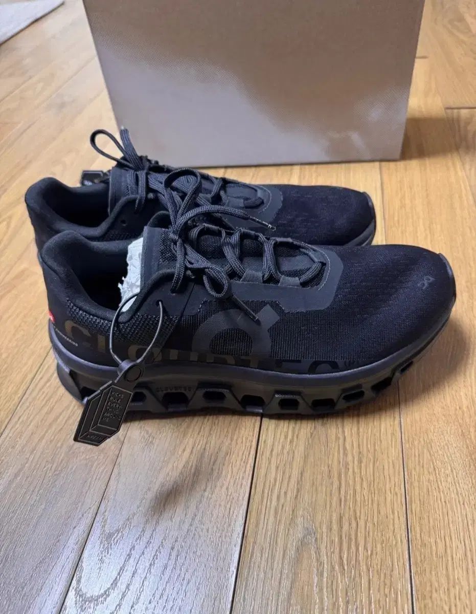 オンランニング クラウド MONSTER 260 mm