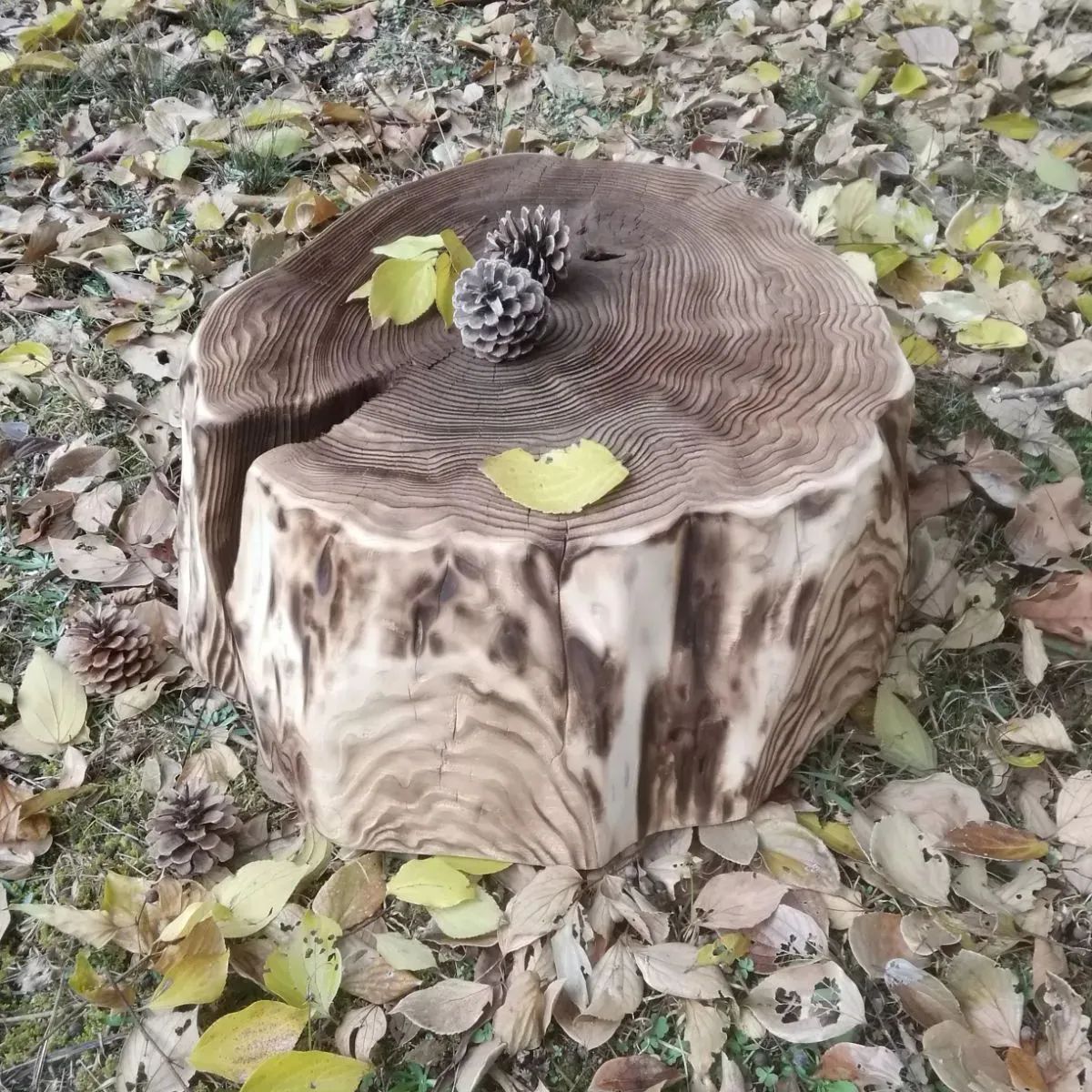 切り株 焼杉 ディスプレイ台 杉丸太 観葉植物台 クリスマス お正月飾り