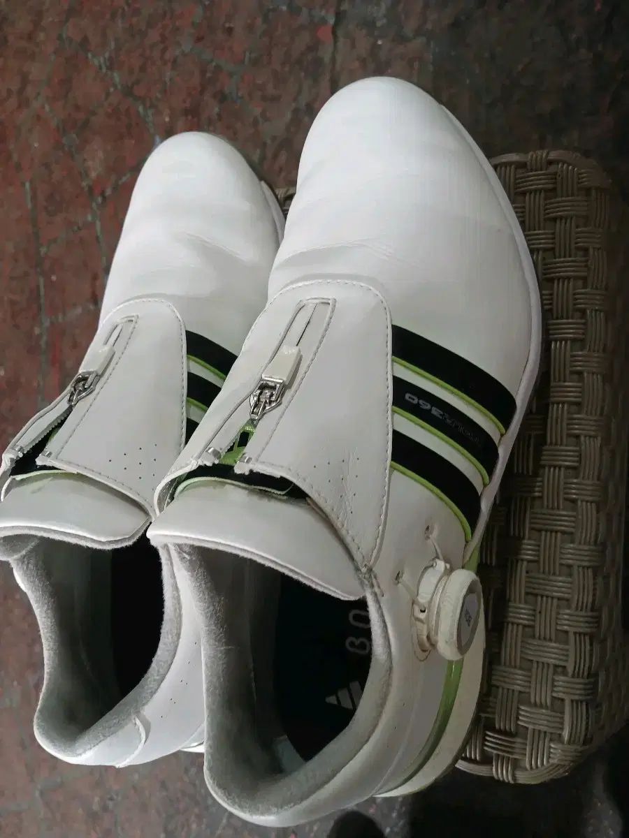 アディダス Tour 360 ゴルフシューズ 白 10 270 275