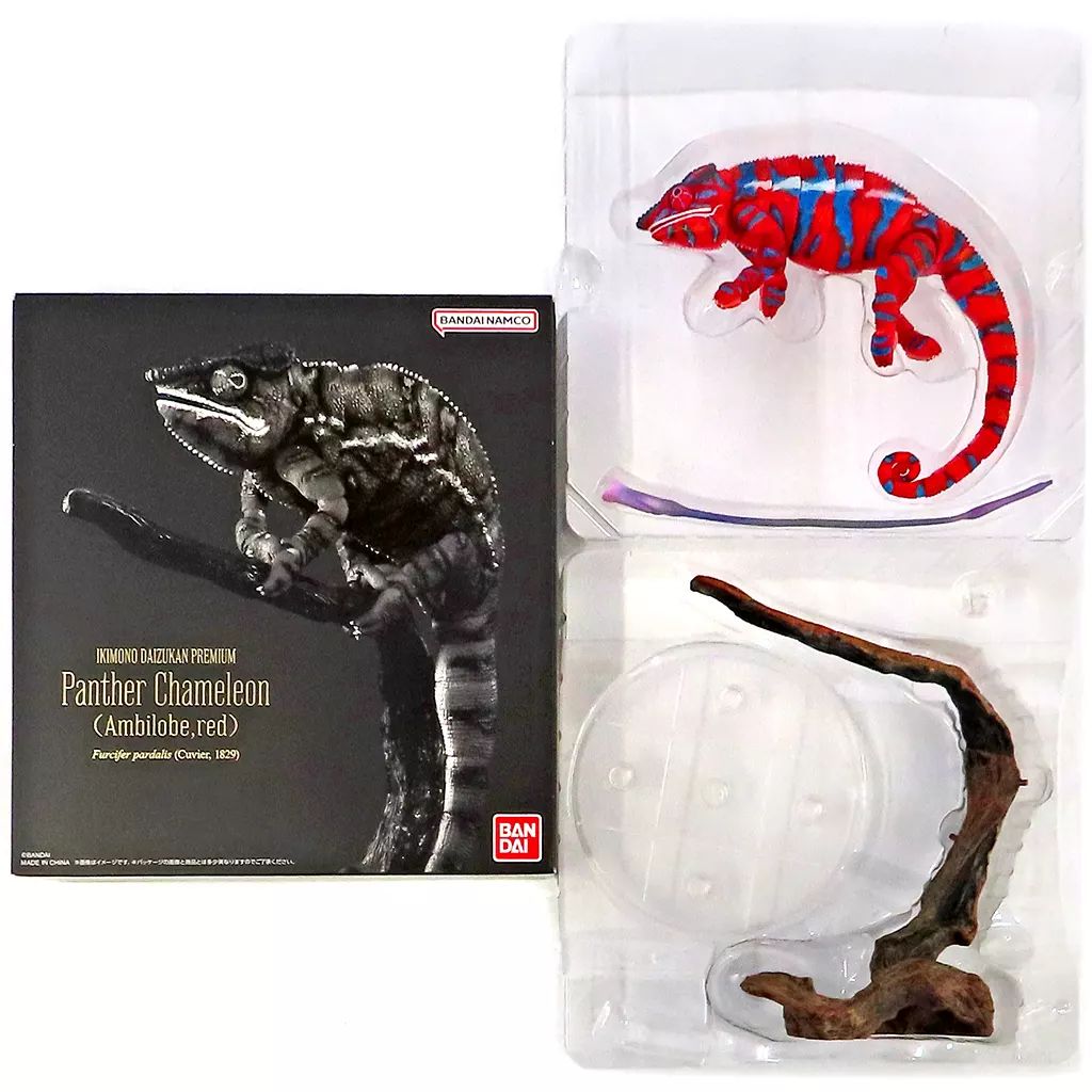 中古】トレーディングフィギュア いきもの大図鑑プレミアム パンサー