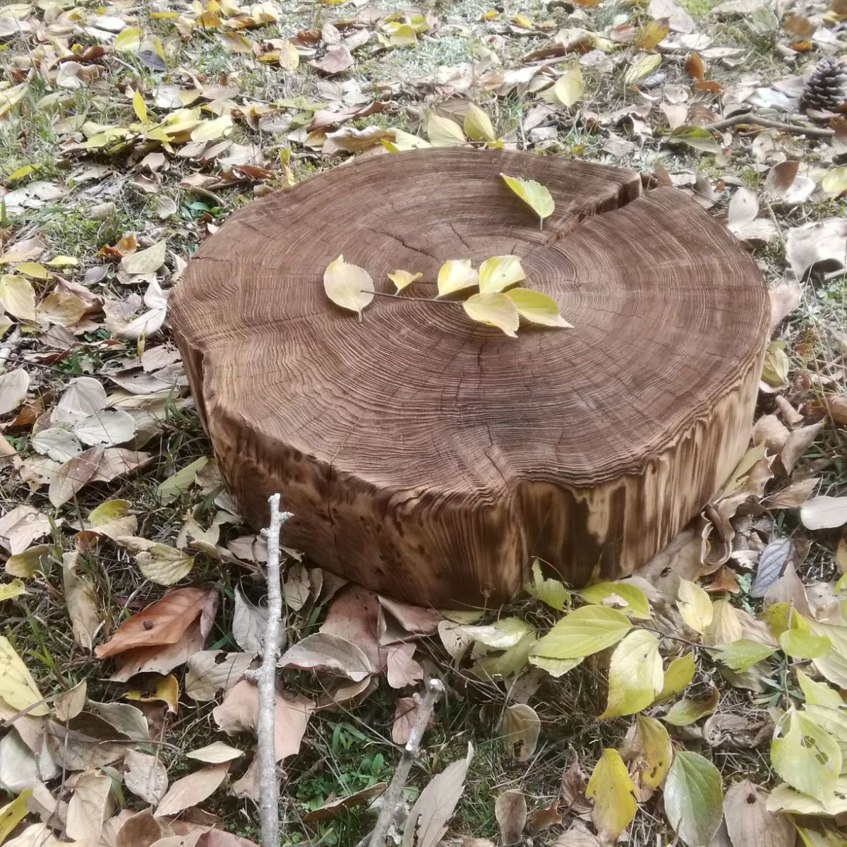 ディスプレイ台 椅子