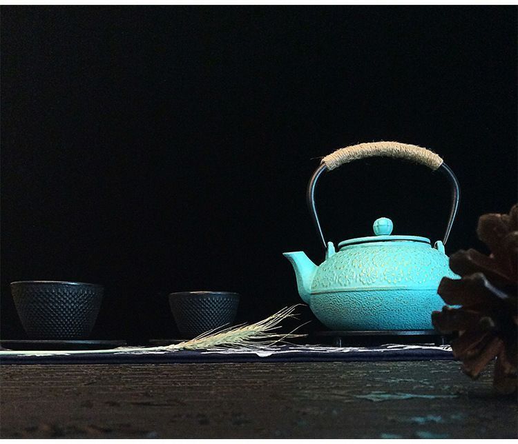 鉄急須 800ml 大容量 急須 鋳鉄ティーポット鉄製 IH 直火対応 南部鉄器