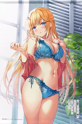 タペストリー 乙咲玲 B 2タペストリー C 100 一生働きたくない俺が クラスメイトの アイドルに懐かれたら レイと朝チュンセット