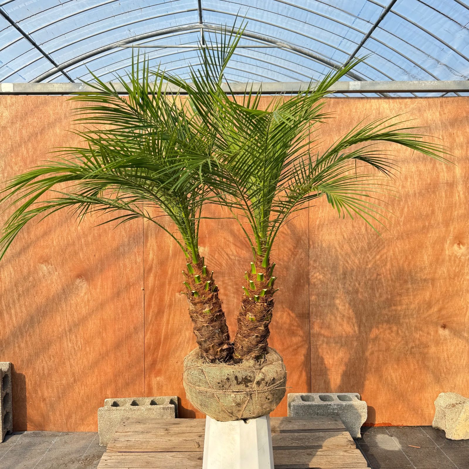 お客様専用 - メルカリ