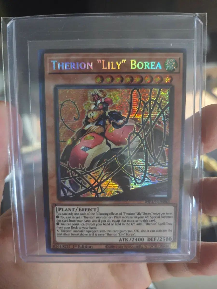 遊 戯 王カード セイ オンス リリー 英字版