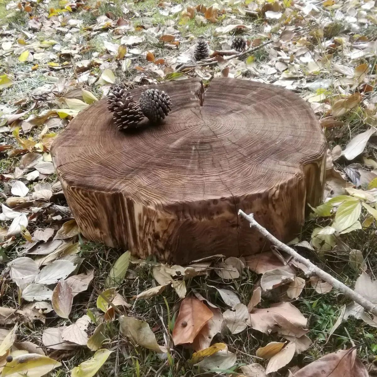 切り株 ウッドスツール ディスプレイ台 椅子 杉丸太 サイドテーブル