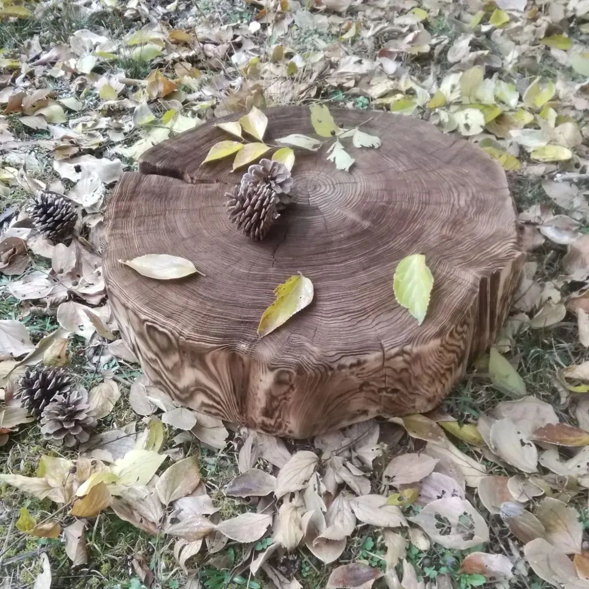 切り株 ウッドスツール ディスプレイ台 椅子 杉丸太 サイドテーブル