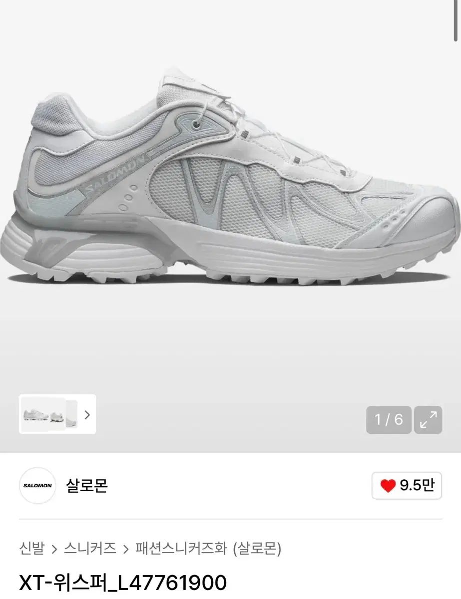 2回着用|230 大きめ SALOMON サロモン XT-WHISPER 白 ルナ ROCK