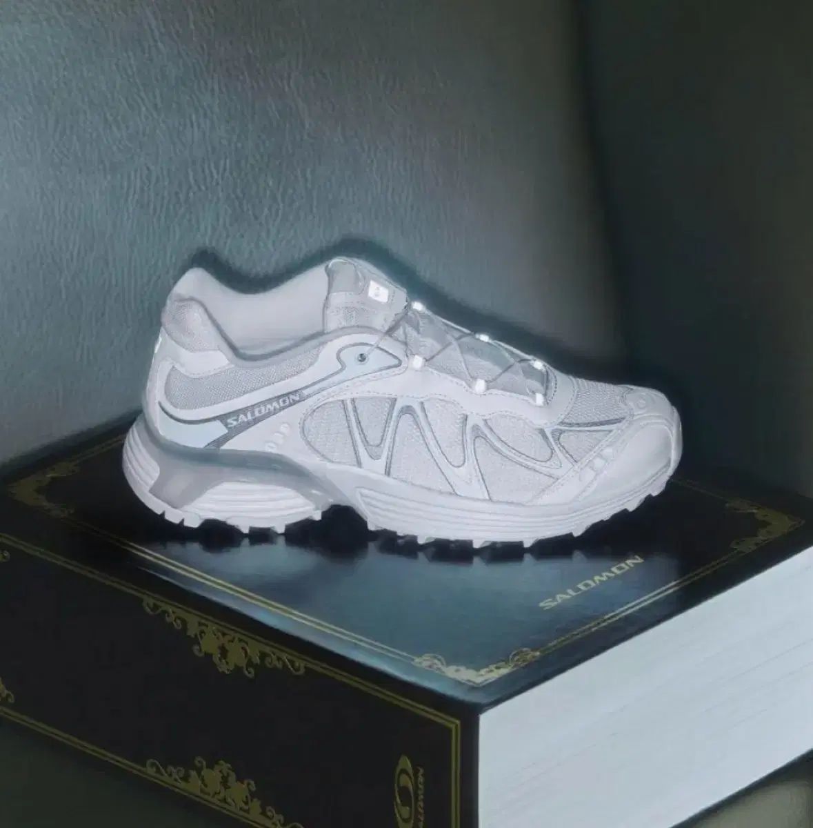 2回着用|230 大きめ SALOMON サロモン XT-WHISPER 白 ルナ ROCK