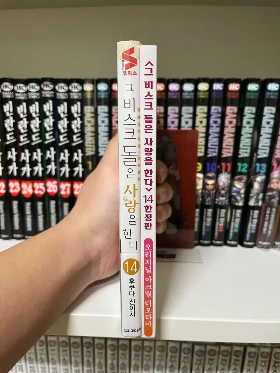 それ ビスク ドールは 愛を する 14 巻 モデル