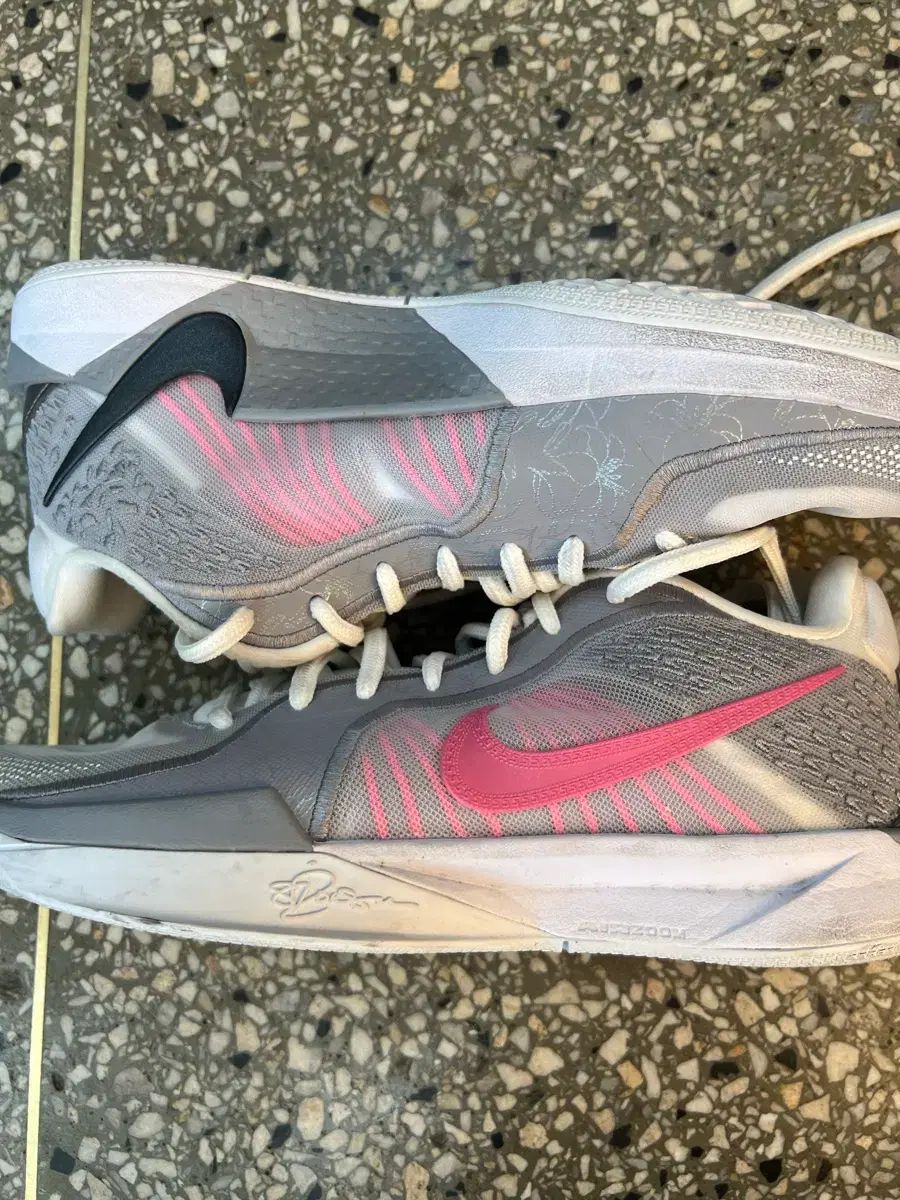 サブリナ2 バスケシューズ (265)