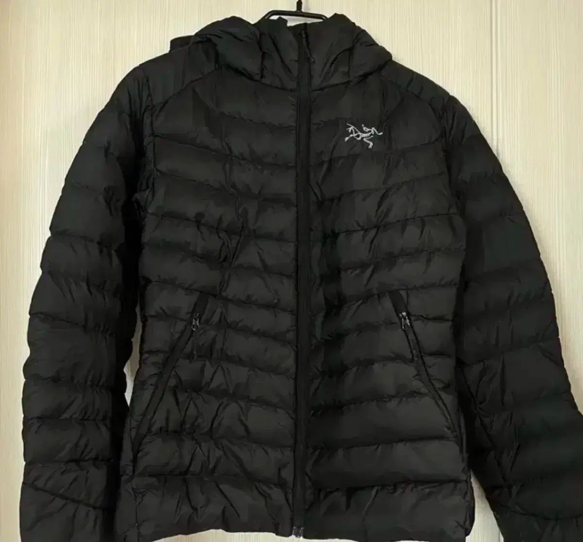 ARC'TERYX Cerium（アークテリクス セリウム）フーディー レディース