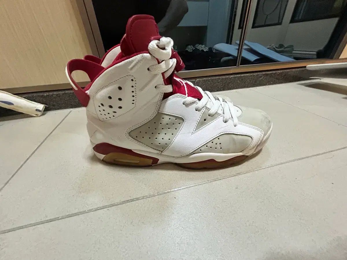 ジョーダン6 オルタネイト 275