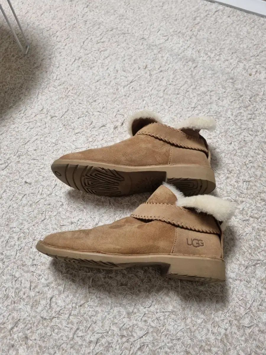 UGG アグ
