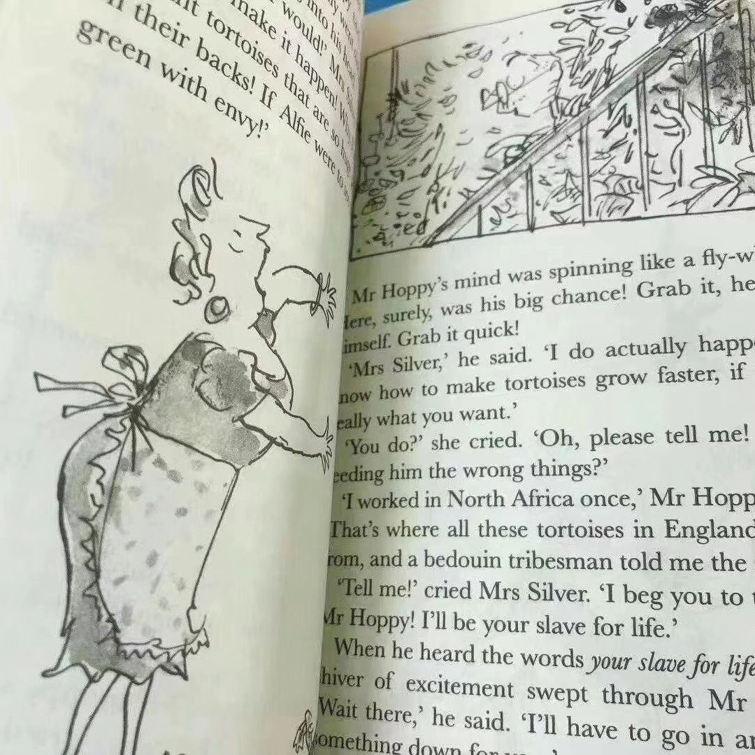 新品 Roald DAHL collection 20冊 洋書 英語 - メルカリ