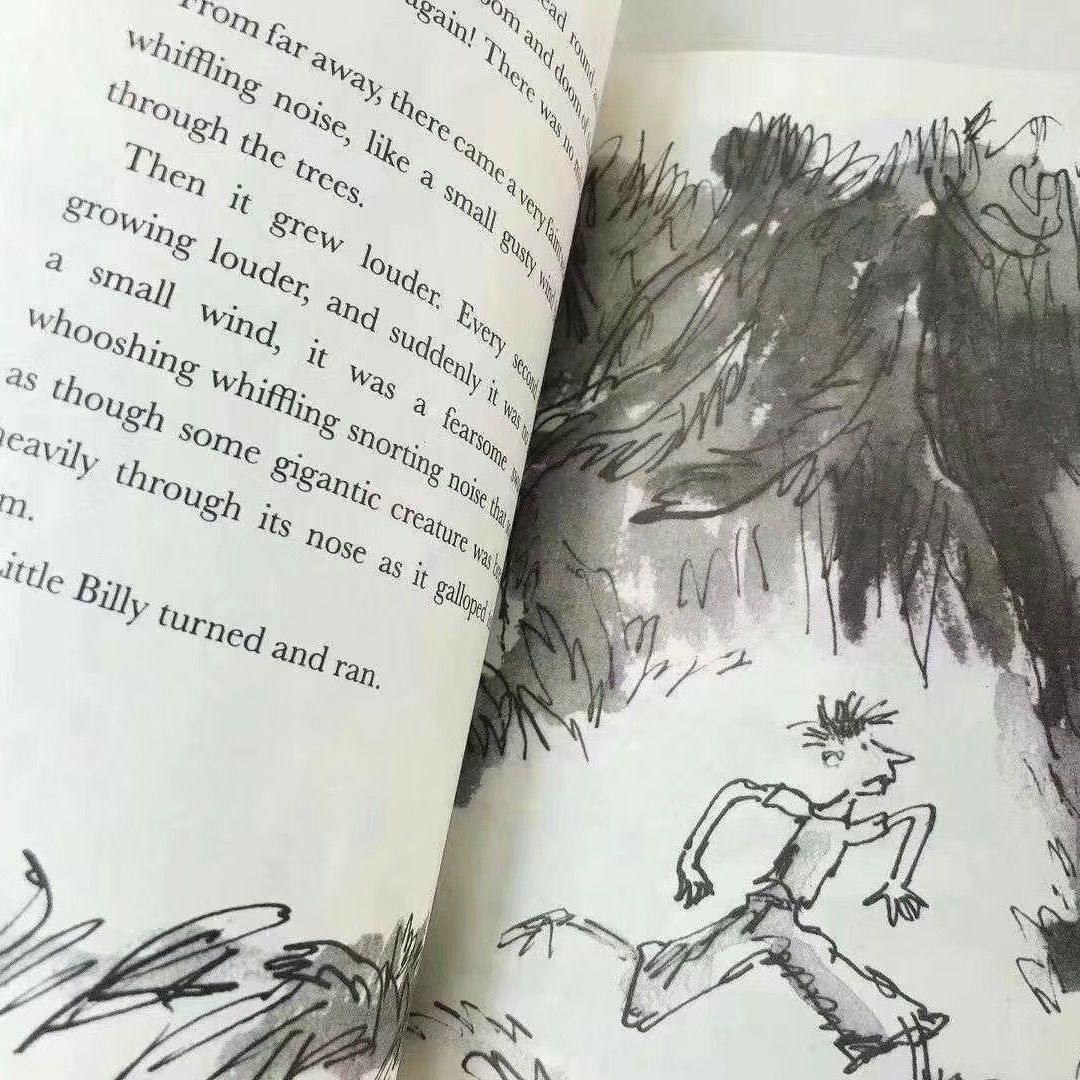 新品 Roald DAHL collection 20冊 洋書 英語 - メルカリ