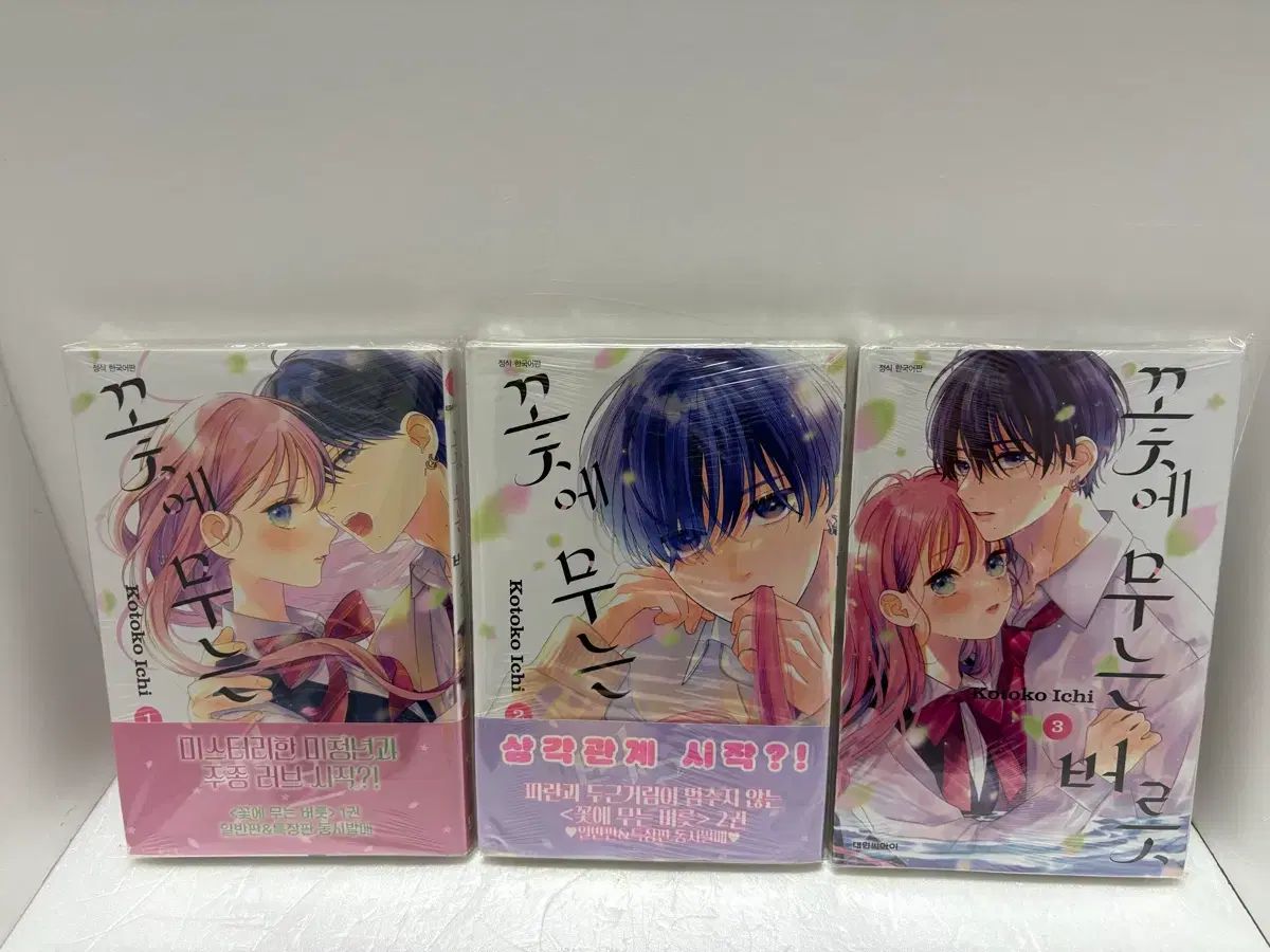 漫画本 花に 大根 癖 1 - 3 巻 アニメイト特典