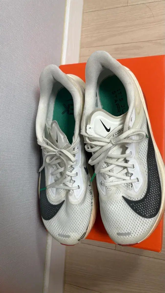 ナイキ ズーム フライ 6 L ウッド キプチョゲ 26.5 cm