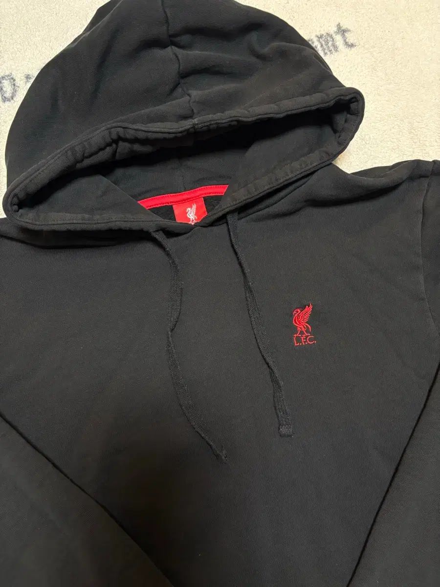 M 24 25 リヴァプール フードティー