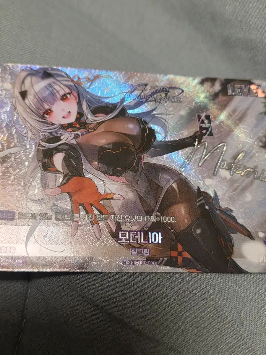 ニケ ニベル ウール モーデニア サイン リーダーカード